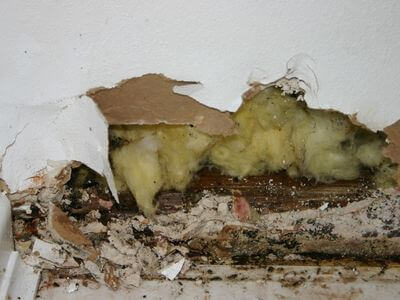 Professional water damage restoration services in North York
